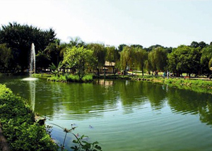 Espaço Verde Chico Mendes em São Caetano 