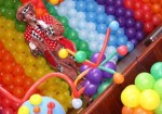 animacao-de-festa-sao-caetano-do-sul-1354734301
