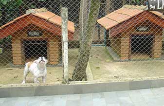 Canil Vanquisher Thiene - Foto 1
