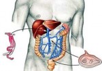 gastroenterologia-e-gastroenterologistas-sao-caetano-do-sul-1354798065