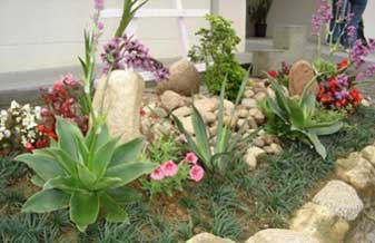 Di Flores Jardinagem e Decorações - Foto 1