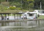 pesqueiros-sao-caetano-do-sul-1354716216