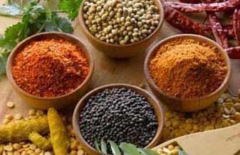 Empório da Terra - Foto 1