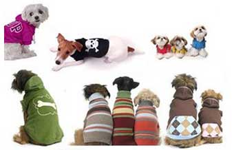 Palace Dog Pet Shop - Foto 1