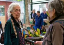 voluntariado nos Centros da Terceira Idade