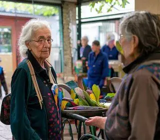 voluntariado nos Centros da Terceira Idade