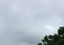 São Caetano do Sul