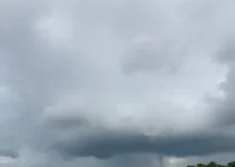 São Caetano do Sul previsão do tempo