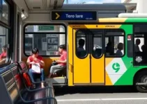 tarifa zero
