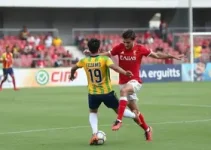 Penapolense vs São Caetano