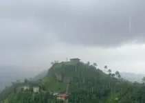 São Caetano do Sul