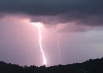 São Caetano do Sul