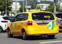 flexibilização do serviço de táxi